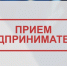 Прием предпринимателей - Бураевский район