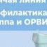 22 сентября 2025 года по 03 октября 2025г. с 12.00 до 16.00 часов Управление Роспотребнадзора по Республике Башкортостан и Бирский территориальный отдел Управления Роспотребнадзора по Республике Башкортостан проводит горячую линию по вопросам профилактики гриппа и ОРВИ - Бураевский район
