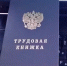 В России появится новый индикатор риска подмены трудовых отношений с самозанятыми - Бураевский район